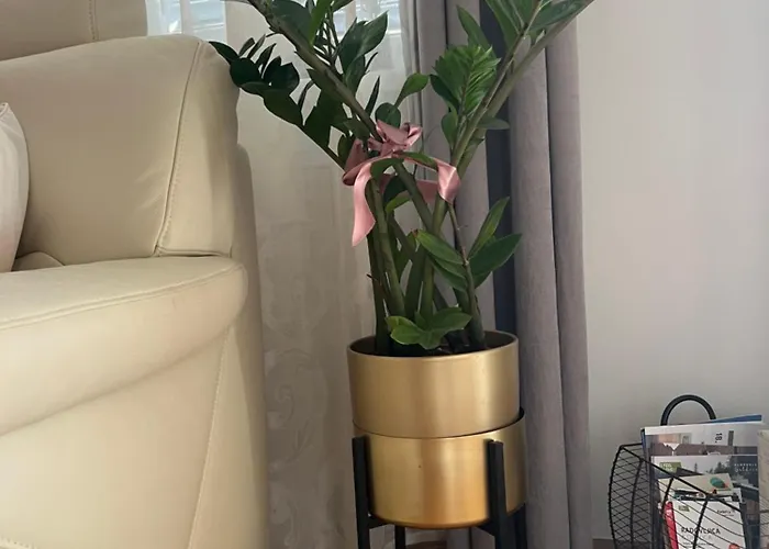 Anaa רדובליצ'ה